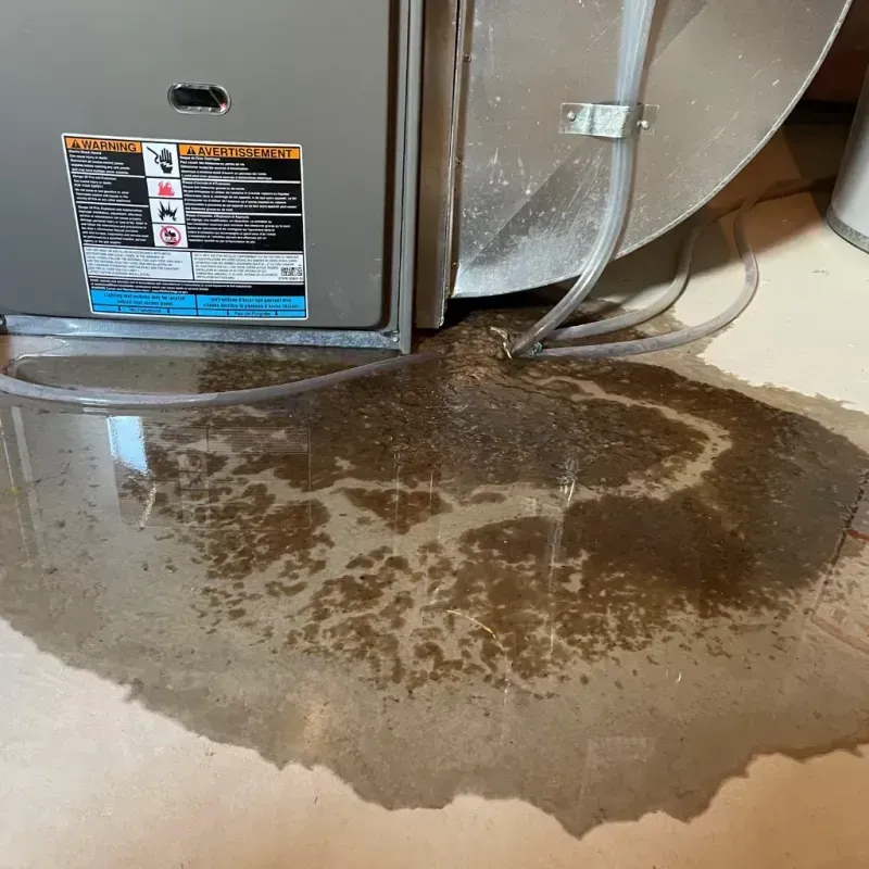 Appliance Leak Cleanup in Oregon, MO